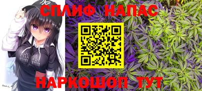 сатива Балаково