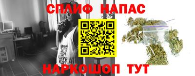 сатива Балаково
