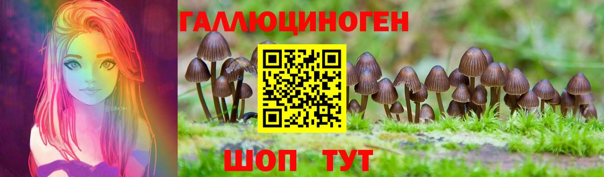 Горно-Алтайск  Псилоцибиновые грибы мухоморы  Вход с VPN 
